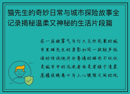 猫先生的奇妙日常与城市探险故事全记录揭秘温柔又神秘的生活片段篇